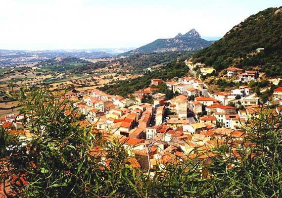 Affittacamere Incentro Berchidda Esterno foto